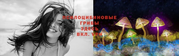 гидропоника Алексин