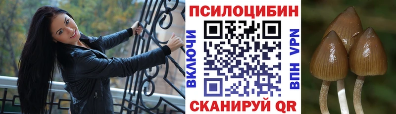 Галлюциногенные грибы Cubensis Починок